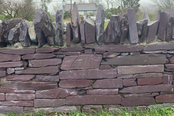 Plum Walling