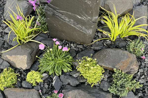 Rockery Kits